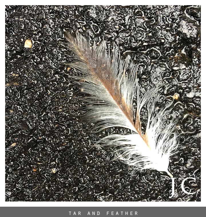 Tar and Feather